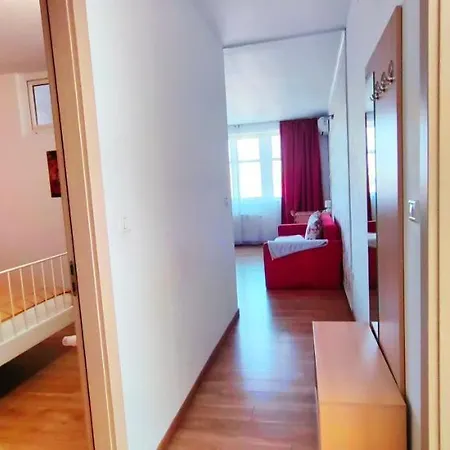 Apartment Flowers Timisoara