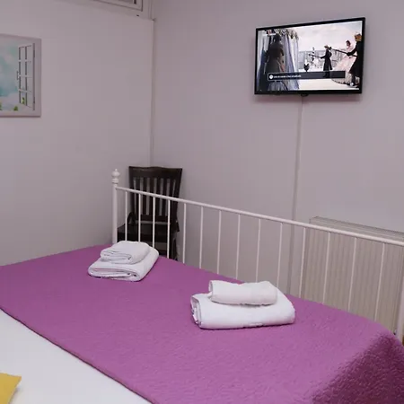 Apartment Flowers Timisoara