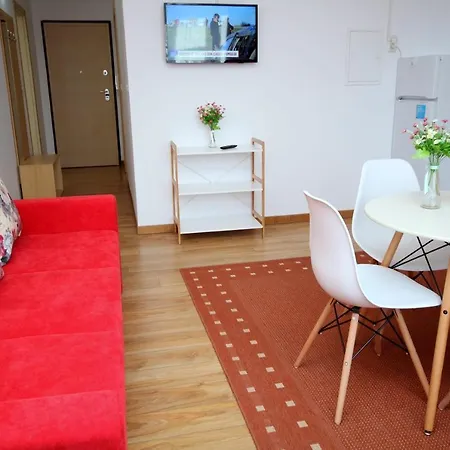 Flowers 公寓 蒂米什瓦拉