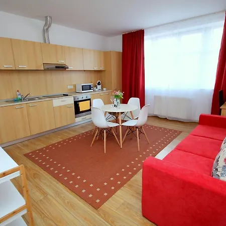 Flowers 蒂米什瓦拉