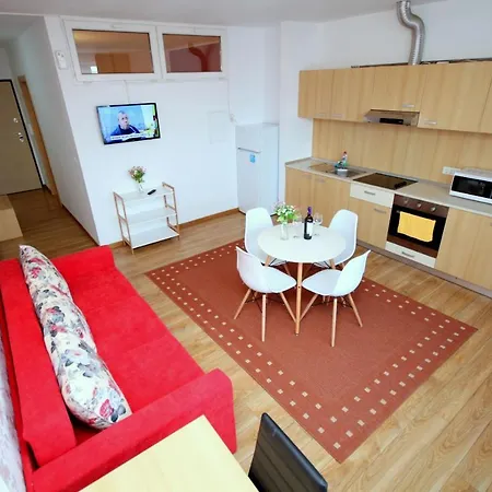 Flowers * 蒂米什瓦拉