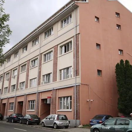 Apartment Flowers Timisoara
