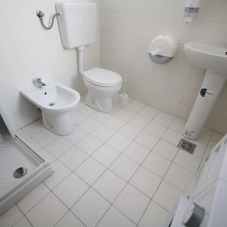 Flowers * Τιμισοάρα