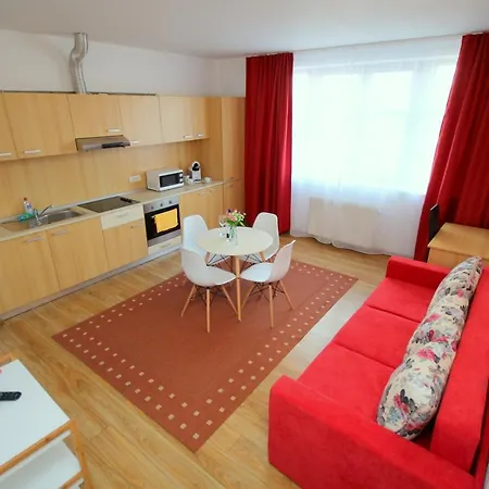 Apartment Flowers Timisoara