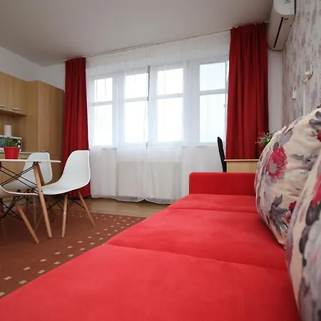 Flowers Apartment Timisoara