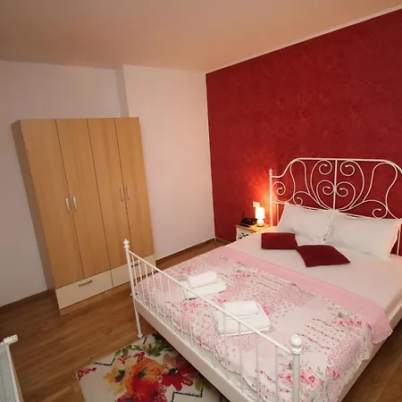 Apartment Flowers Timisoara