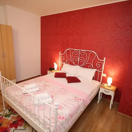 Apartment Flowers Timisoara
