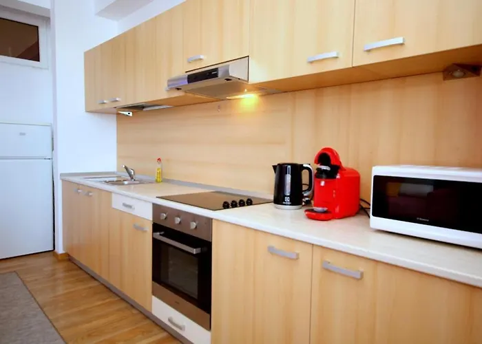 Flowers Apartment Timisoara