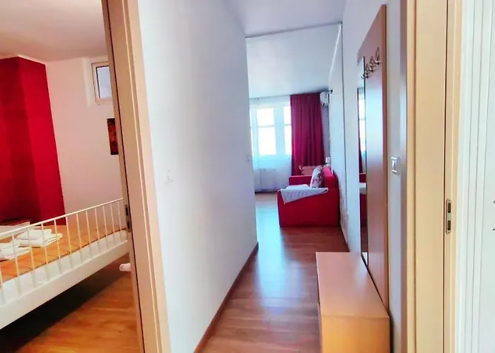 Apartment Flowers Timisoara