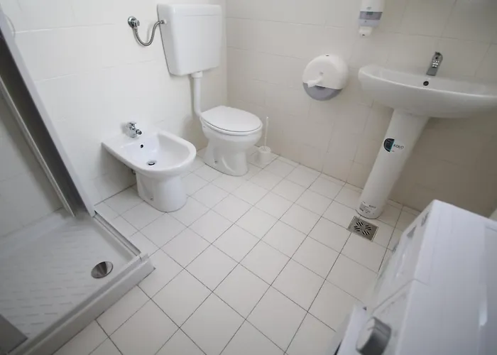 Flowers * Timişoara