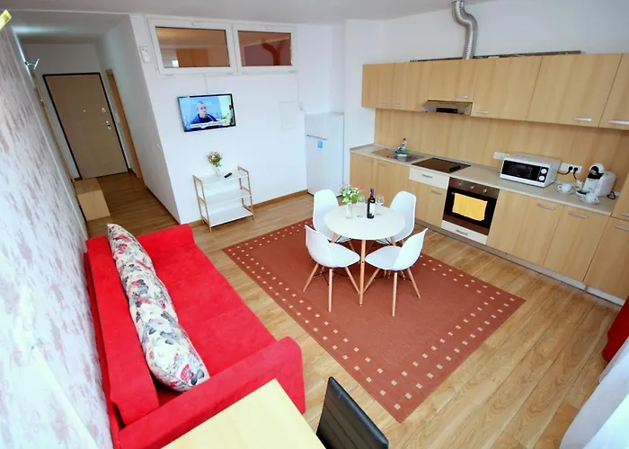 Flowers * Timişoara